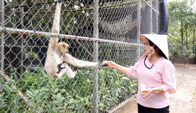 U Minh Thuong National Park to leverage ecotourism to lure new tourist dollars ảnh 1