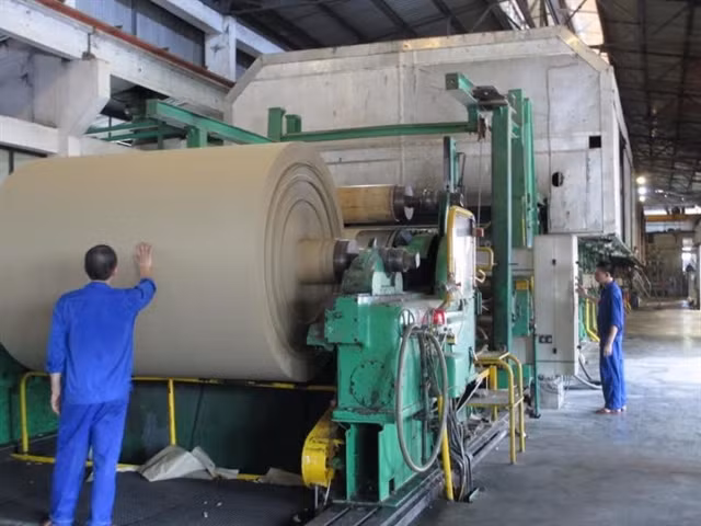 Vietnam paper industry needs to diversify product portfolio ảnh 1 Vietnam paper industry needs to diversify product portfolio ảnh 1
