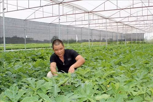 Building new style rural areas creates new look to Thanh Hoa’s coastal district ảnh 1