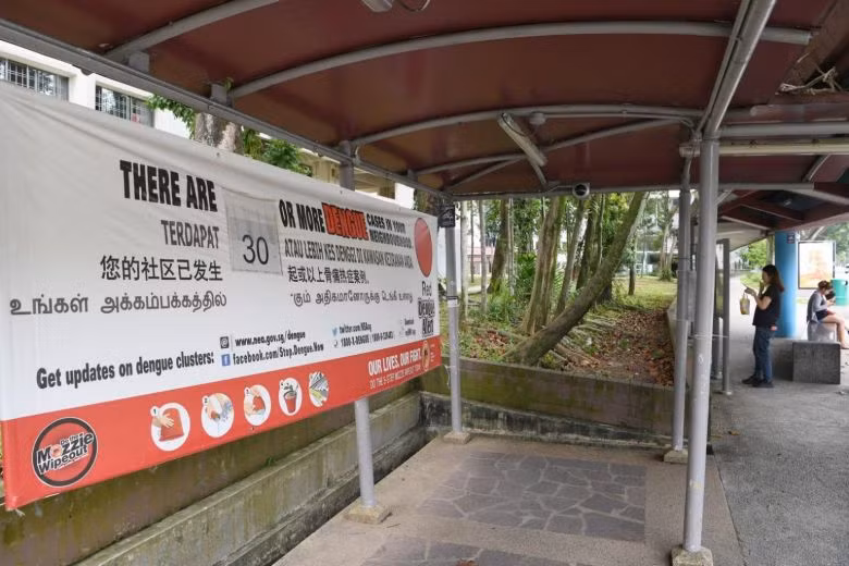 Singapore official warns of worsening dengue fever in dry season ảnh 1