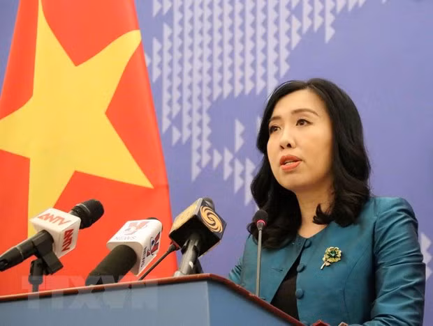 Vietnam resolved to fight violations of its sea areas: spokeswoman ảnh 1