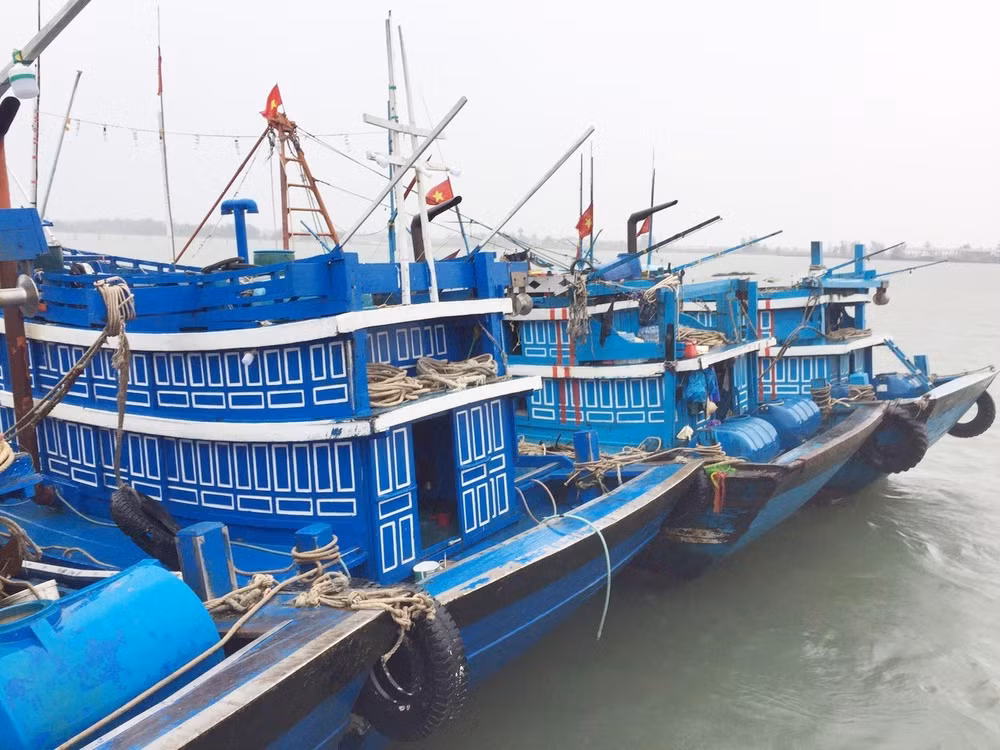 Northern region braces for typhoon Mun ảnh 1