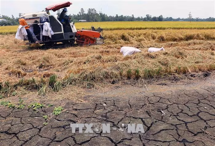 Drought forecast for central, south-central coastal provinces in 2019 ảnh 1 Drought forecast for central, south-central coastal provinces in 2019 ảnh 1