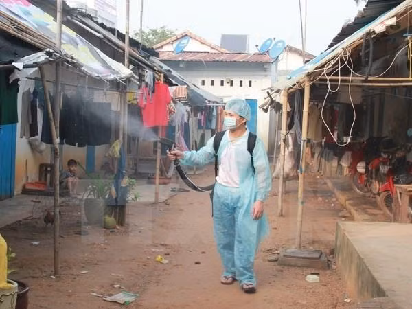 Khanh Hoa: Dengue fever develops complicatedly ảnh 1 Khanh Hoa: Dengue fever develops complicatedly ảnh 1