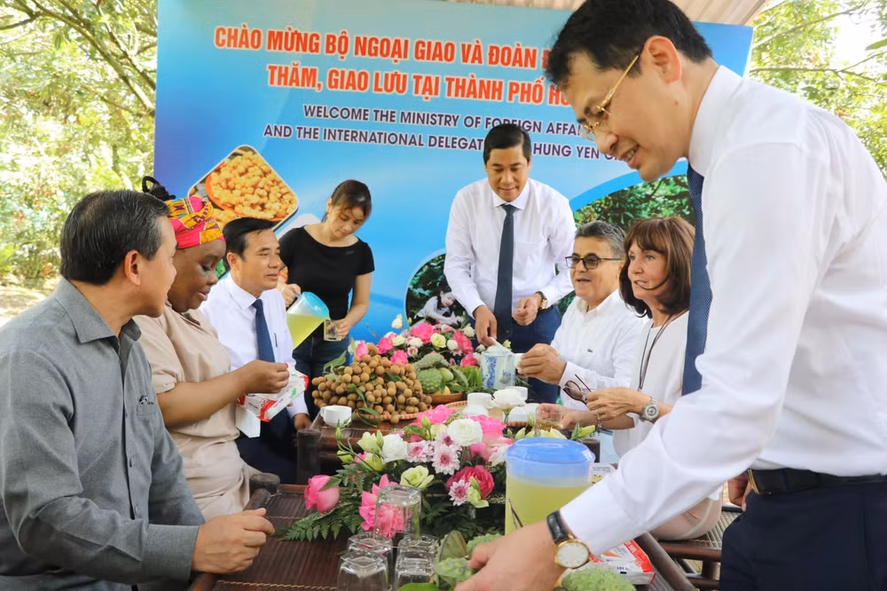 Hung Yen longan promoted among int'l diplomatic corps, industry associations ảnh 2