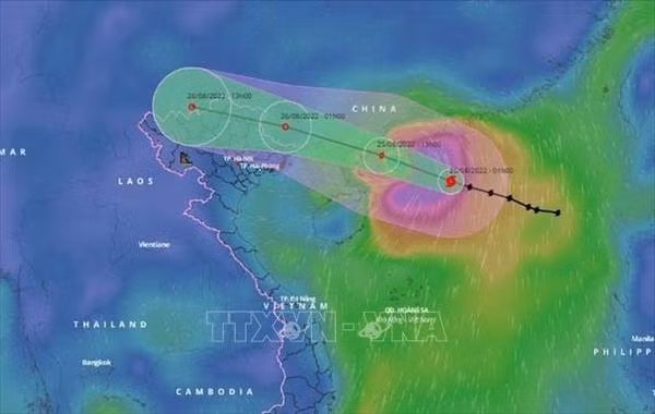 Northern region experiences torrential rains from August 25 ảnh 1