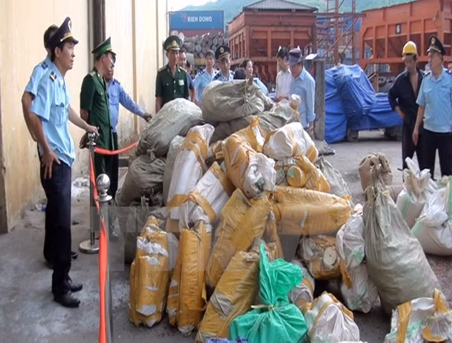 Two tonnes of suspected elephant tusks found at Sai Gon port ảnh 1