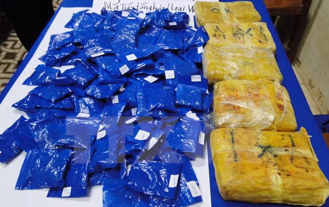  Border guards bust cross-border drug trafficking rings ảnh 1