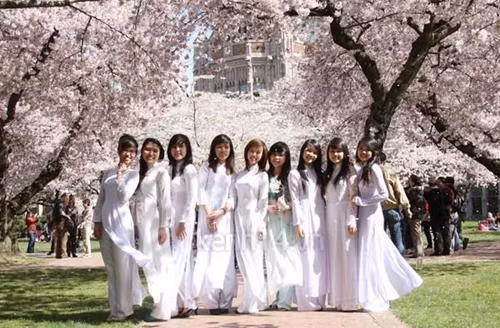 Vietnam ranks second in number of overseas students in Japan ảnh 1