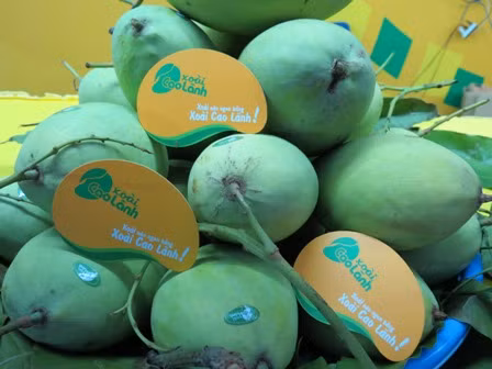 Dong Thap promotes fruit exports ảnh 1