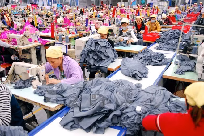 Government procurement commitments in TPP discussed ảnh 1 Government procurement commitments in TPP discussed ảnh 1