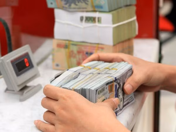 SBV’s move on USD interest rate eases pressure on market ảnh 1