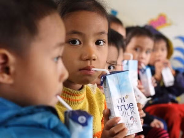 Cheese, yoghurt, seed milk introduced in school milk programme ảnh 1