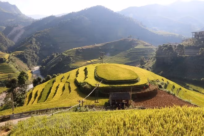 Tourism helps improve ethnic life in Mu Cang Chai ảnh 1 Tourism helps improve ethnic life in Mu Cang Chai ảnh 1