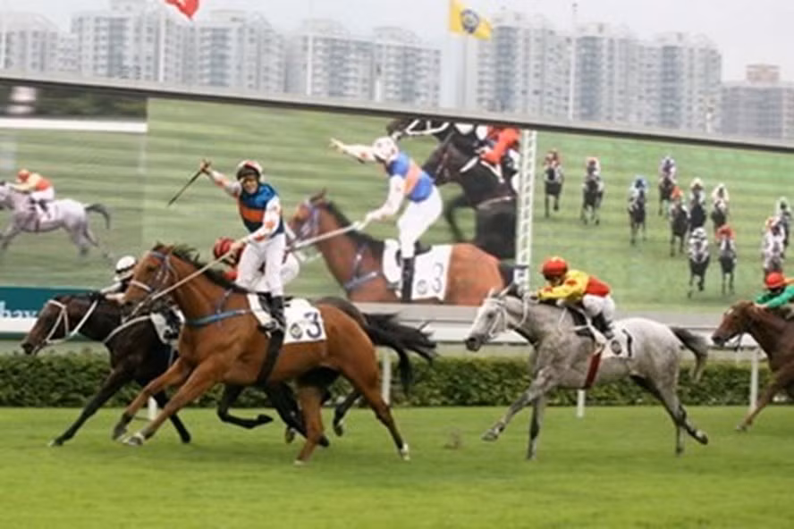 Hanoi to build 500 million USD horse racing track ảnh 1