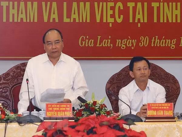 Gia Lai needs to increase forest coverage: PM ảnh 1