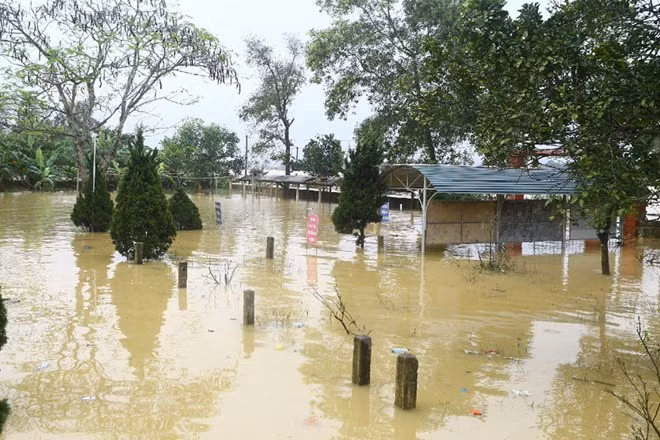Government supports eight flood-hit localities ảnh 1