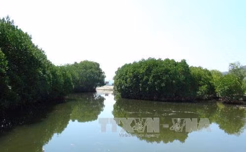 Vietnam aims to implement Nagoya protocol on sharing genetic resources ảnh 1