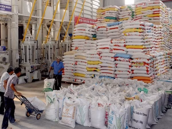 Can Tho targets 1.67 billion USD in 2017 exports ảnh 1