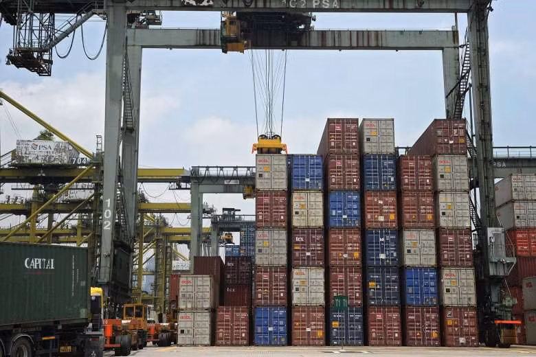 Singapore’s non-oil domestic exports recover ảnh 1