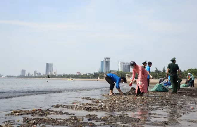 Important models discussed to reduce plastic waste in urban areas ảnh 1