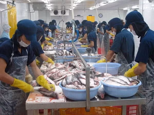 Prime Minister launches censuses ảnh 1