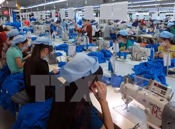 About 5,000 tariff lines go down to zero under Vietnam-EAEU FTA ảnh 1 About 5,000 tariff lines go down to zero under Vietnam-EAEU FTA ảnh 1