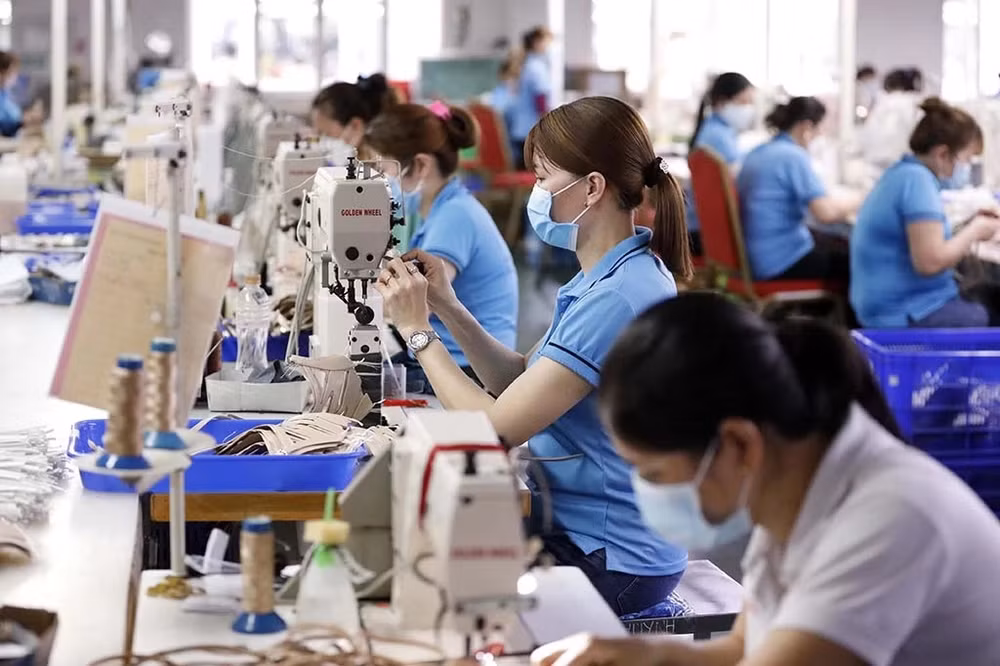 Vietnamese economy proceeding as predicted: experts ảnh 1 Vietnamese economy proceeding as predicted: experts ảnh 1