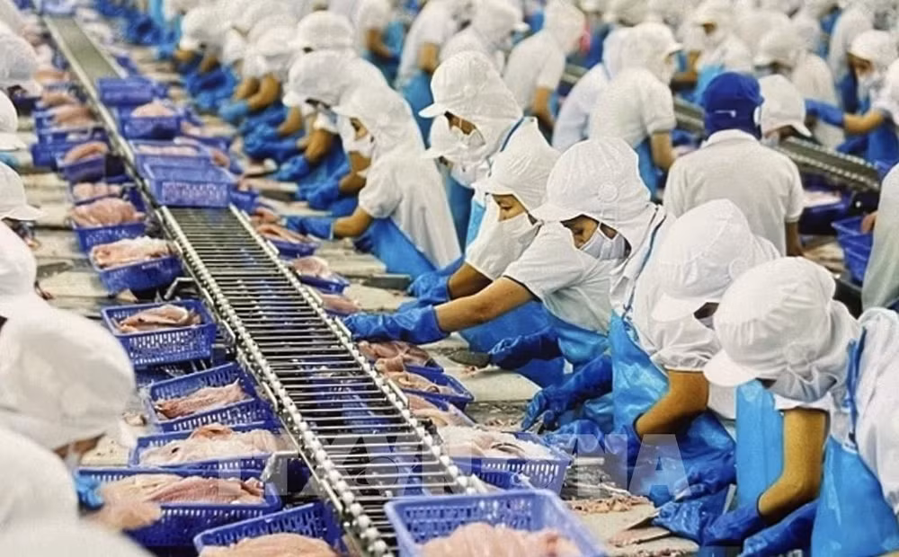 Exports by FDI, domestic sectors expected to rebound: official ảnh 1