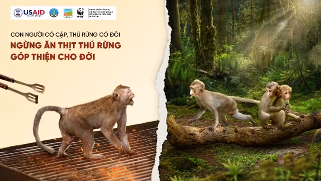 People called on to reduce wildlife meat demand ảnh 1