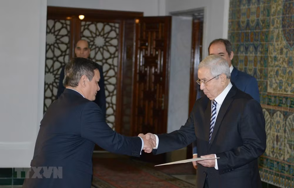 Algerian President hopes to foster relations with Vietnam ảnh 1