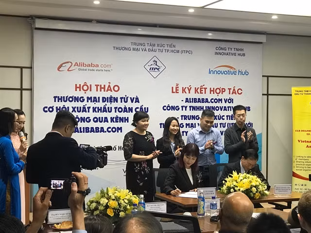 E-commerce: profitable platform for Vietnamese exports ảnh 1