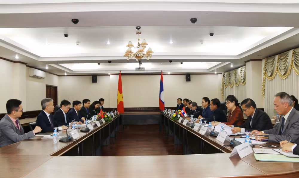 Vietnam’s foreign ministry delegation visits Laos ảnh 1