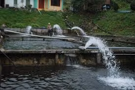 Ministry of Finance proposes increasing wastewater fees ảnh 1