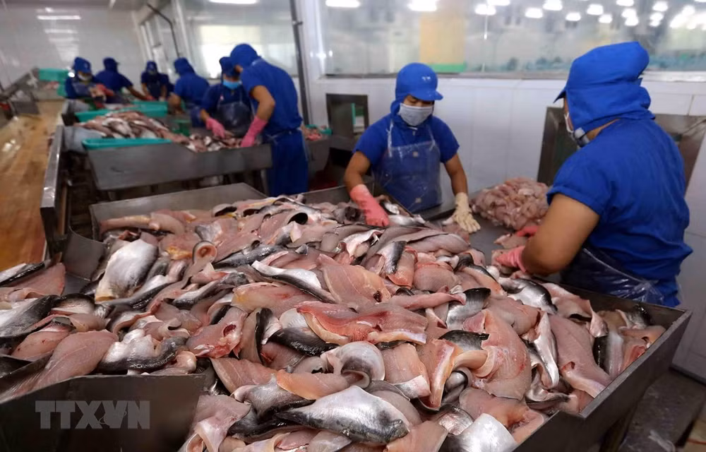 Vietnam’s tra fish exports to ASEAN up 18 percent ảnh 1
