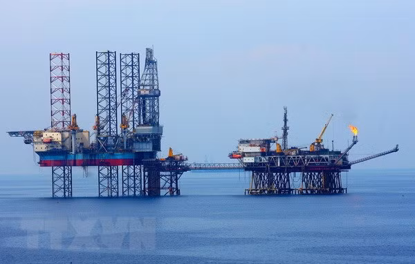 Vietnam forecast to face net imports of crude oil ảnh 1 Vietnam forecast to face net imports of crude oil ảnh 1