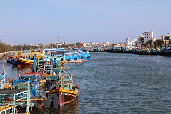 Ca Mau speeds up monitoring devices installation on fishing vessels ảnh 1