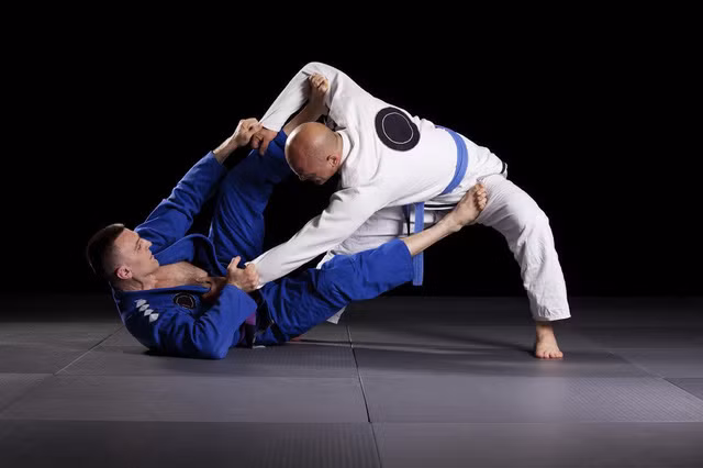 HCM City to host international Jiujitsu championship ảnh 1 HCM City to host international Jiujitsu championship ảnh 1
