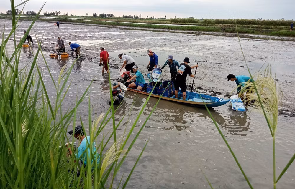 Agriculture sector responds to climate change with green development ảnh 1