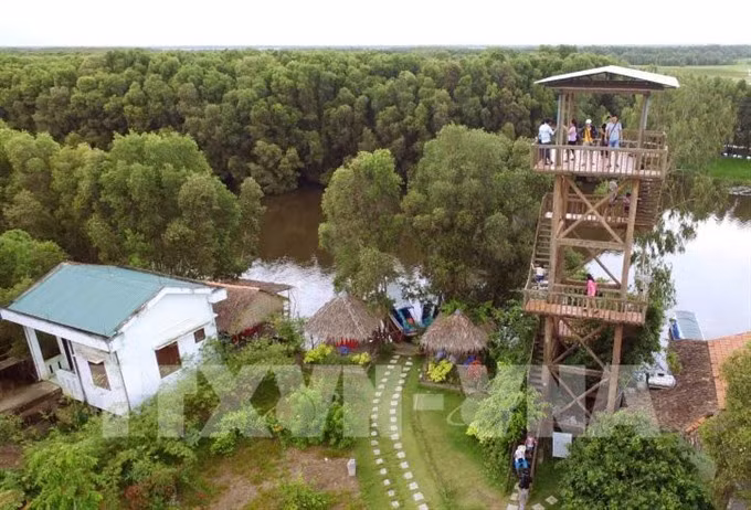 Tram Chim park needs better fire management to conserve eco-system ảnh 1