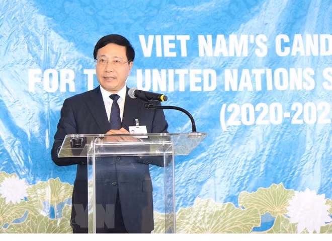 Deputy PM calls for support to UN Security member candidacy, meets foreign officials ảnh 1