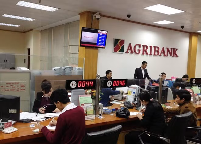 Agribank enhances cooperation with Japan’s Yanmar Group ảnh 1