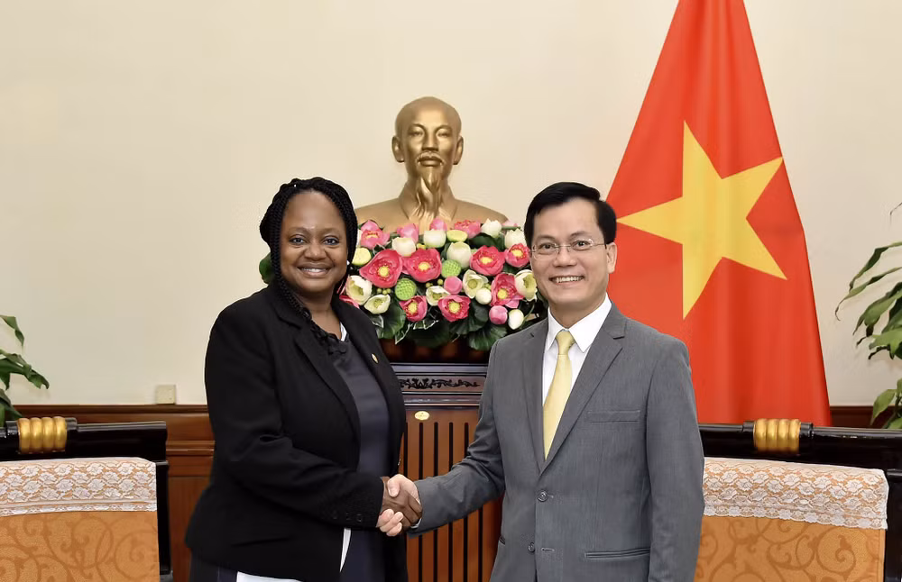Vietnam ready to promote comprehensive partnership with US ảnh 1