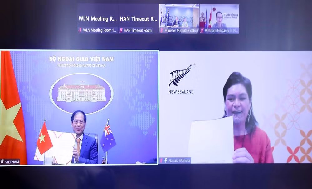FM’s New Zealand visit to review, boost multifaceted cooperation: ambassador ảnh 2