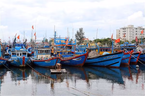 PM orders urgent measures against Storm Noru ảnh 2 PM orders urgent measures against Storm Noru ảnh 2