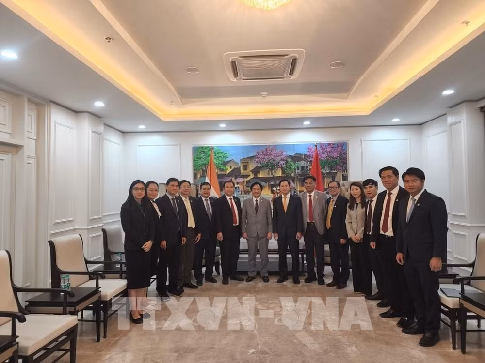 Binh Duong province promotes trade with India ảnh 1