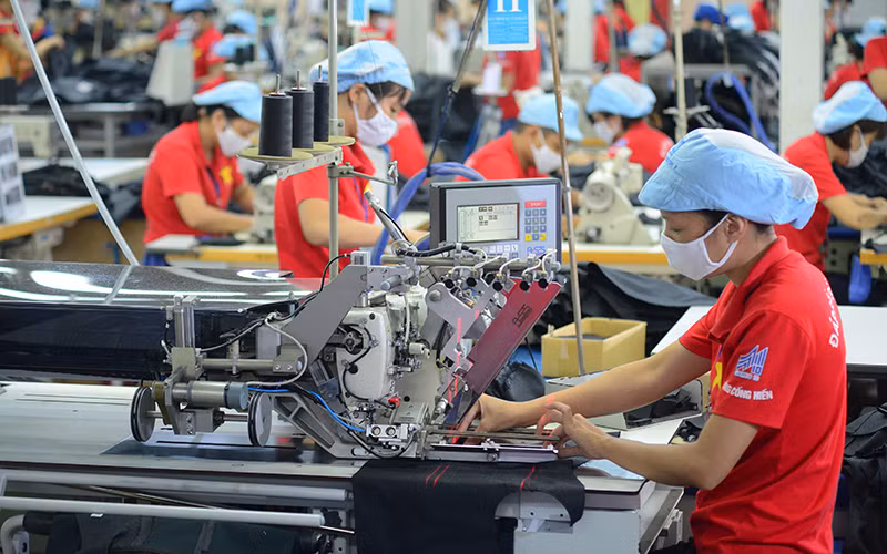 Over 2.3 billion USD disbursed under national socio-economic recovery programme ảnh 1