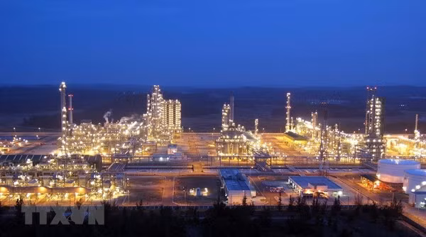 Maintenance of Dung Quat oil refinery slated for mid-2023 ảnh 1