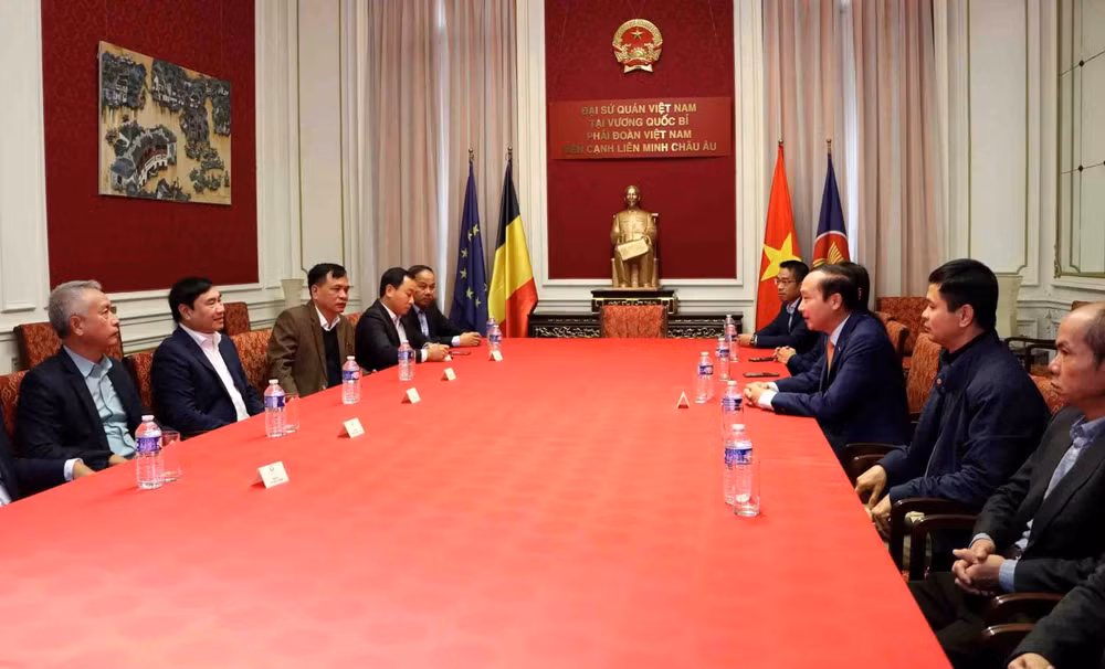 Party official visits Vietnamese embassy in Belgium ảnh 1