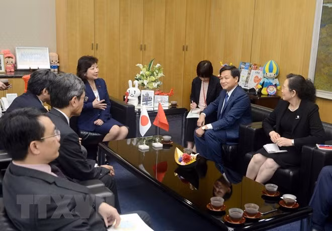 Government Inspectorate delegation visits Japan ảnh 1
